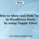 How to Show And Hide Text In WordPress Posts using Toggle Effect